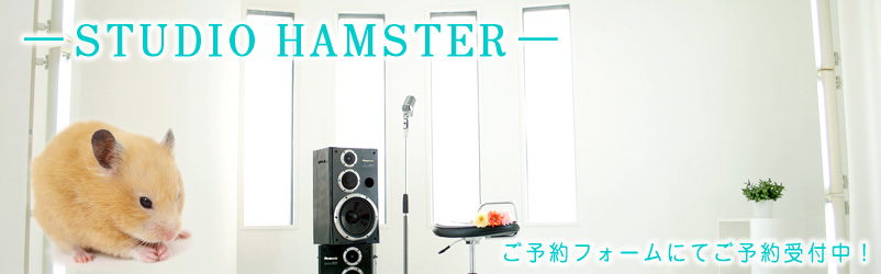 池袋　コスプレ　撮影　スタジオ　ハムスター ―STUDIO HAMSTER １匹目！― スタジオハムスター１匹目！
