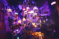 池袋　コスプレ　撮影　スタジオ　ハムスター アラビアン