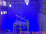 池袋　コスプレ　撮影　スタジオ　ハムスター カラー照明